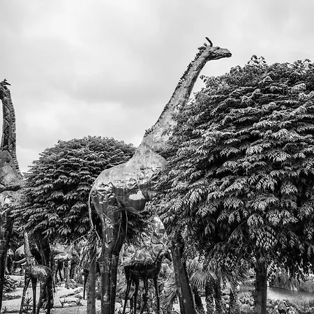 Villa Casa Alegria *